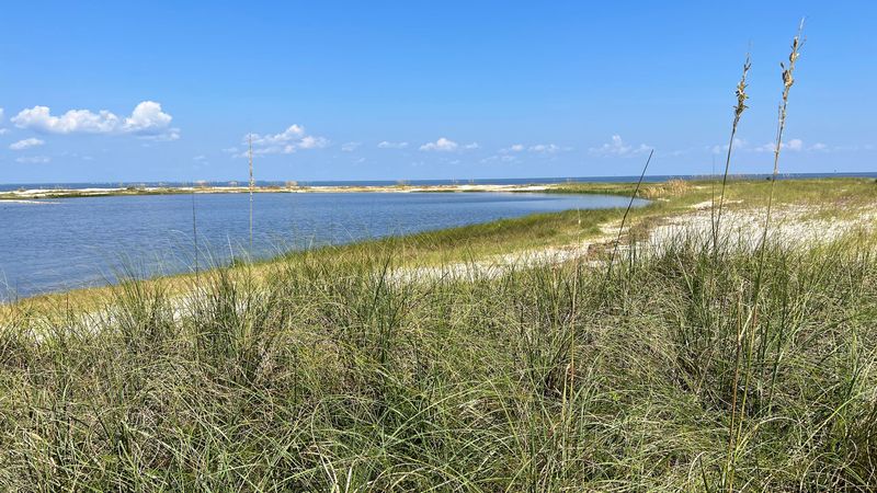 Bald Point State Park