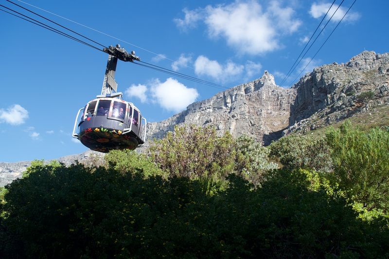 Table Mountain's Flat-Top Wonder