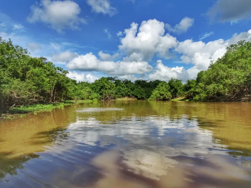 Rurrenabaque, Bolivia: Gateway To Amazon Adventures