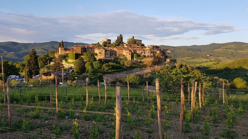 Montefioralle: The Vineyard-Hidden Gem