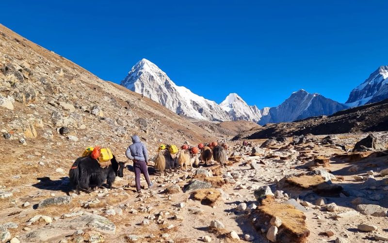 Trek to Everest Base Camp