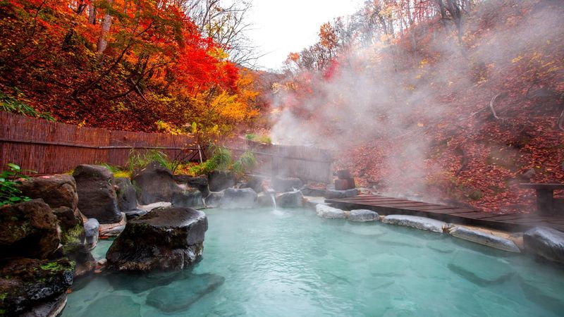 Japanese Hot Springs - Healing Waters