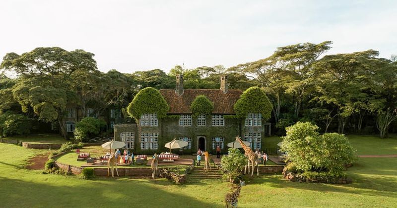 Giraffe Manor - The Constant Gardener