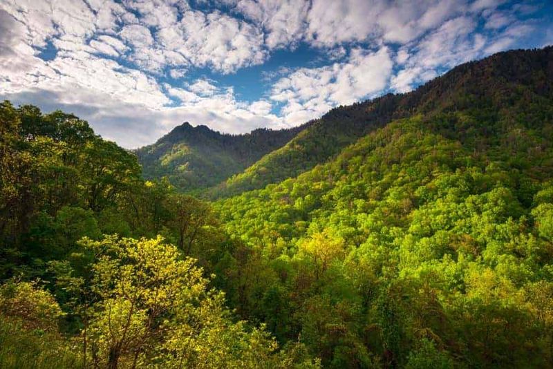 Explore Great Smoky Mountains National Park Via The Cosby Entrance