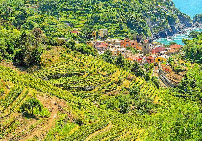 Sip Wine At A Hillside Vineyard