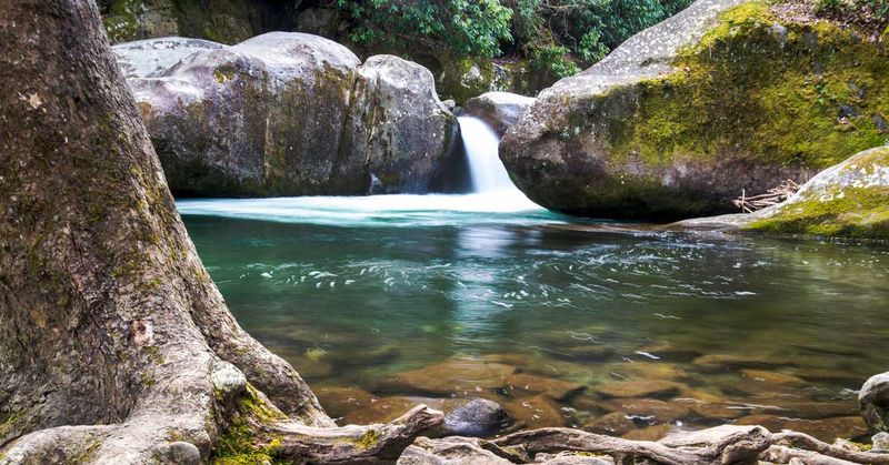 Find A Quiet Swimming Hole Along Middle Prong Or Little Pigeon River