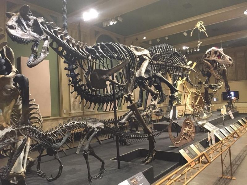 Dinosaur Discovery Museum – Kenosha, Wisconsin