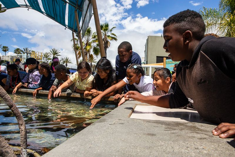Aquarium of the Pacific, Long Beach, CA
