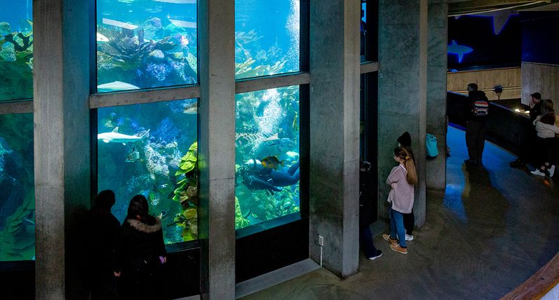 New England Aquarium - Boston