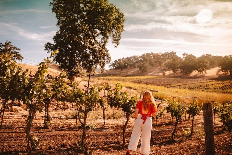 Paso Robles' Intimate Boutique Wineries