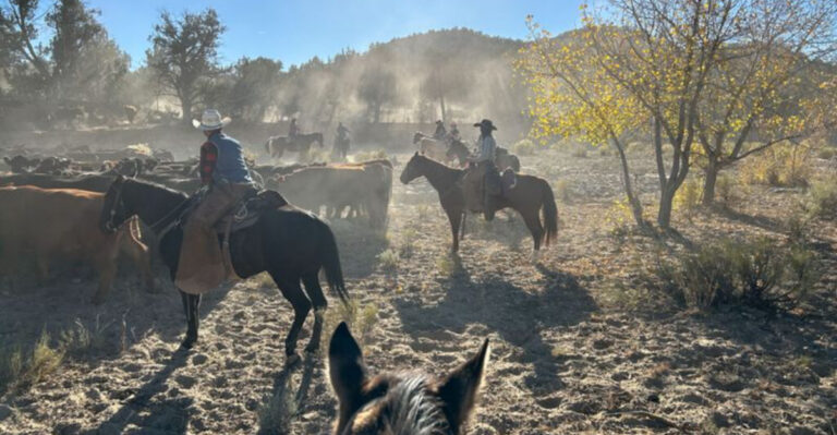 The 15 Best States To Experience American Cowboy Culture