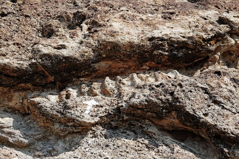 Factory Butte Dinosaur Bone Bed