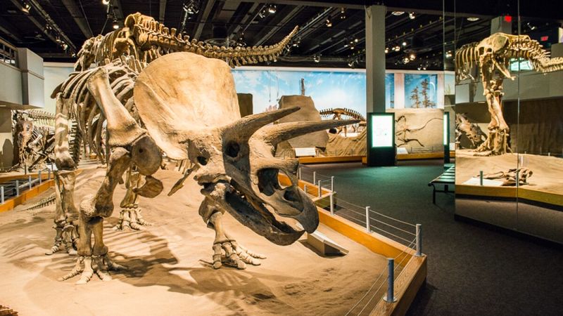 Royal Tyrrell Museum – Drumheller, Alberta, Canada