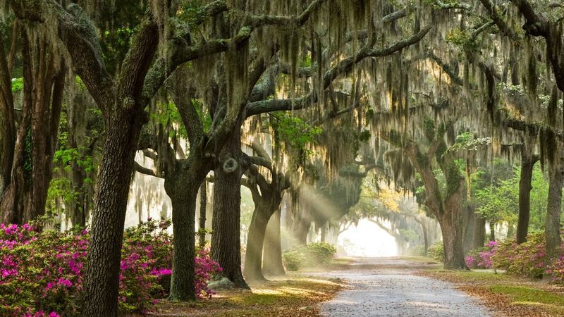 Savannah's Historic Charm
