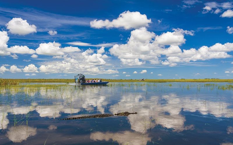 The Everglades By Airboat