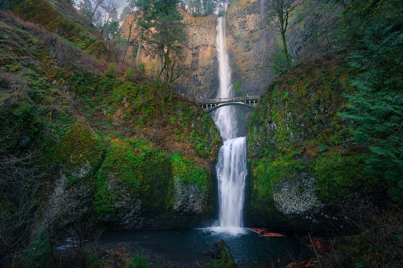 The Stunning Columbia River Gorge