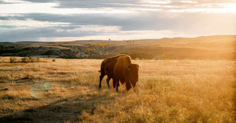 The Most Popular Tourist Attractions In All U.S. States, Ranked