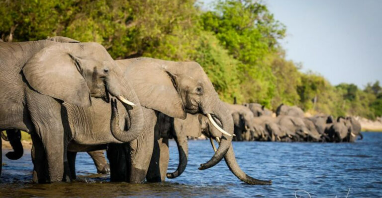The Must-See Natural Hotspots In Southern Africa