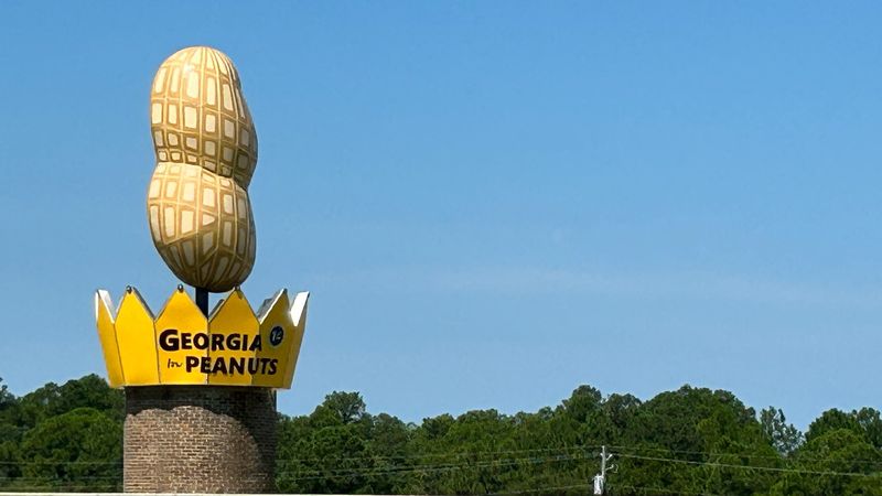 The World's Largest Peanut