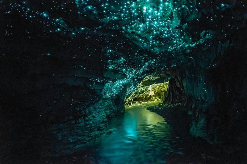 The Glowworm Caves of Waitomo