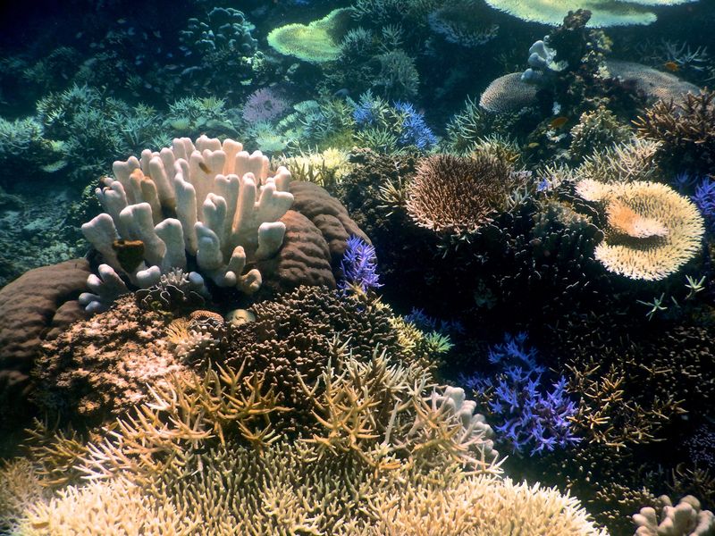Komodo National Park, Indonesia