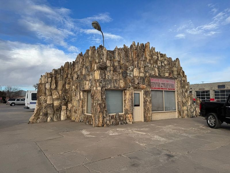 The Petrified Wood Gas Station