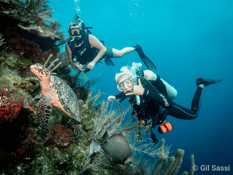 Utila's Underwater Wonderland