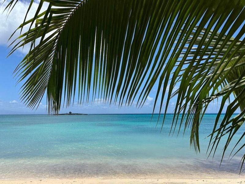 Why This Island Stands Apart In The Caribbean