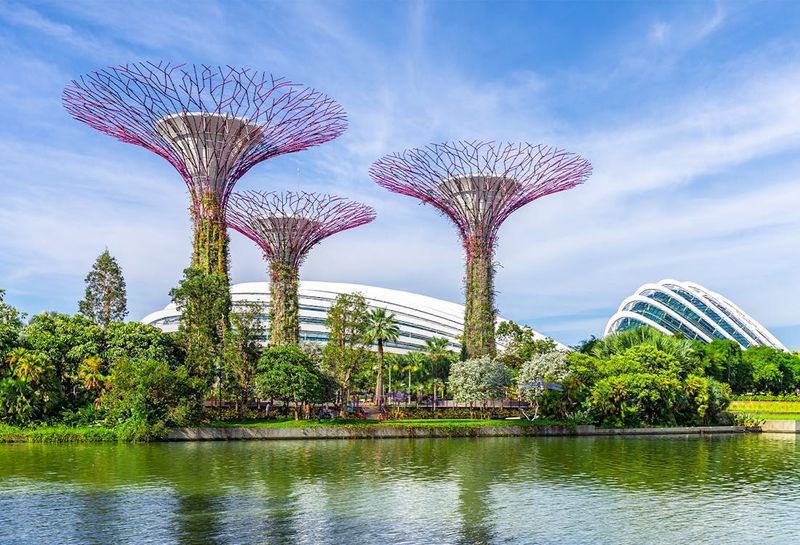 Garden Paradise In The City