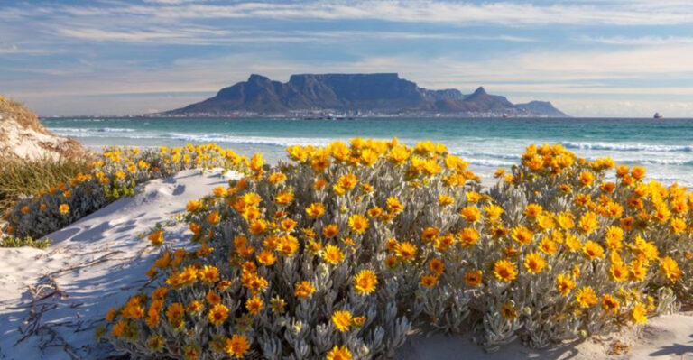 This Island Nation Was Just Named The Most Stress-Free Place On Earth