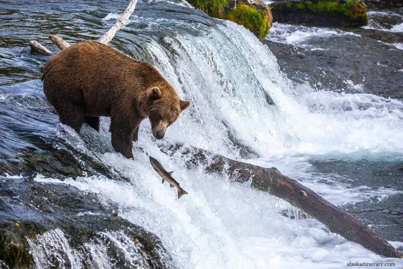 Blind River Rapids