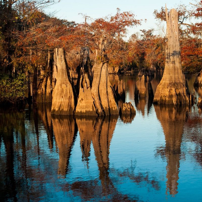 Dead Lakes Recreation Area