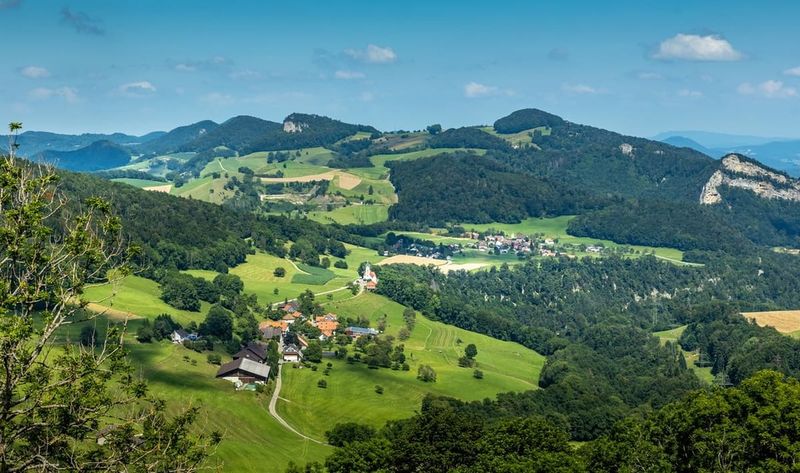 Jura Mountains' Gentle Giants