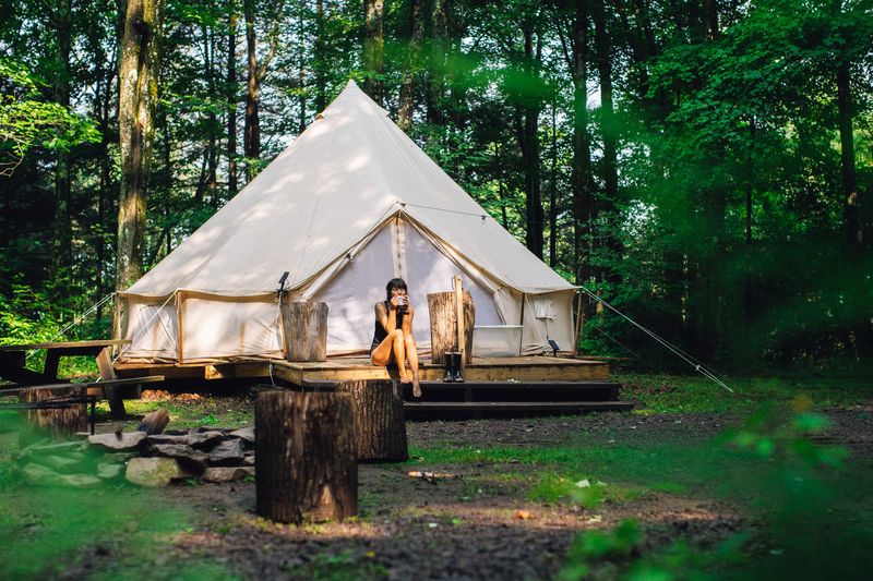 National Park Yurt (Quality Time)