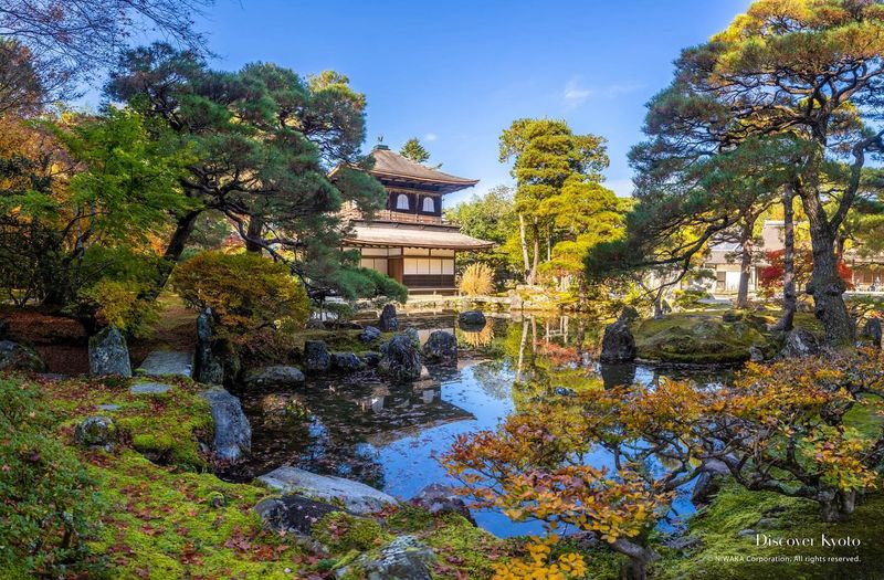 Kyoto, Japan - Where Ancient Temples Meet Modern Serenity