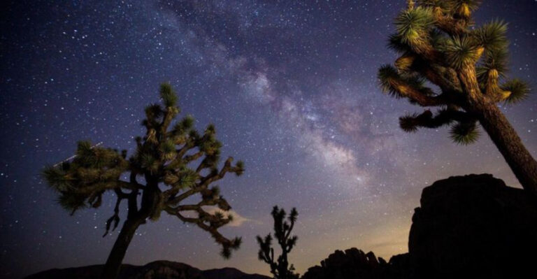 Top 9 Things To Do In This Funky Little Town + 5 Insider Tips To Make The Most Of Your Trip
