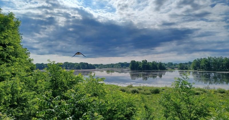 Explore The Iroquois National Wildlife Refuge