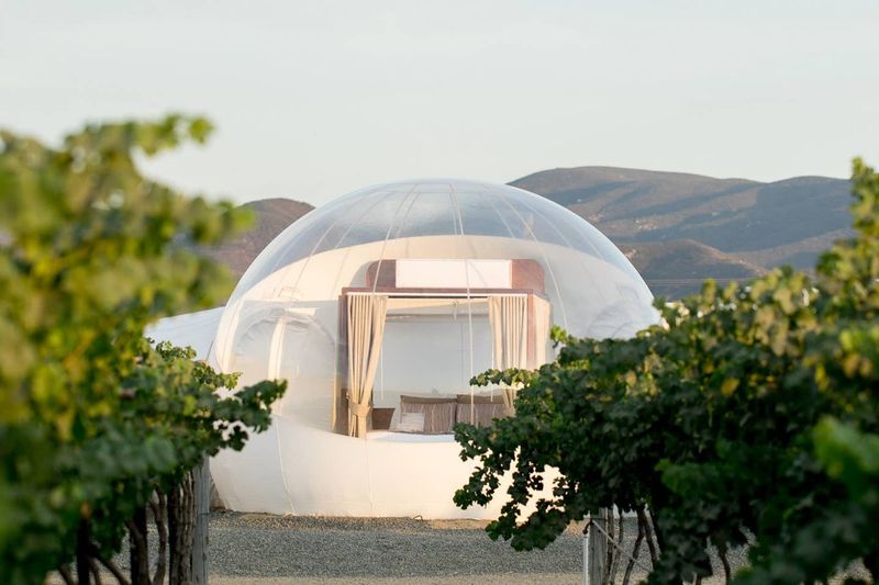 Stay at Glamping-Style Campera Hotel Burbuja