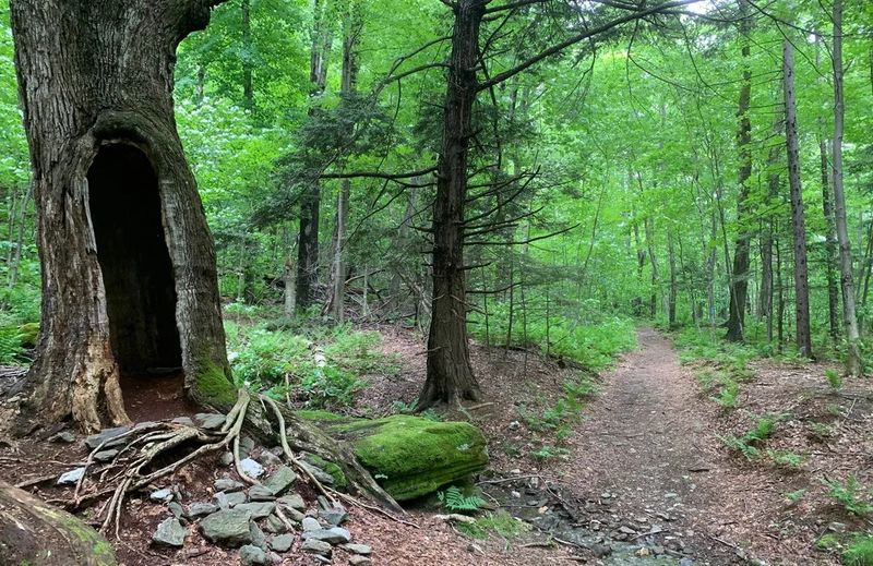 What To Expect Along The Hike