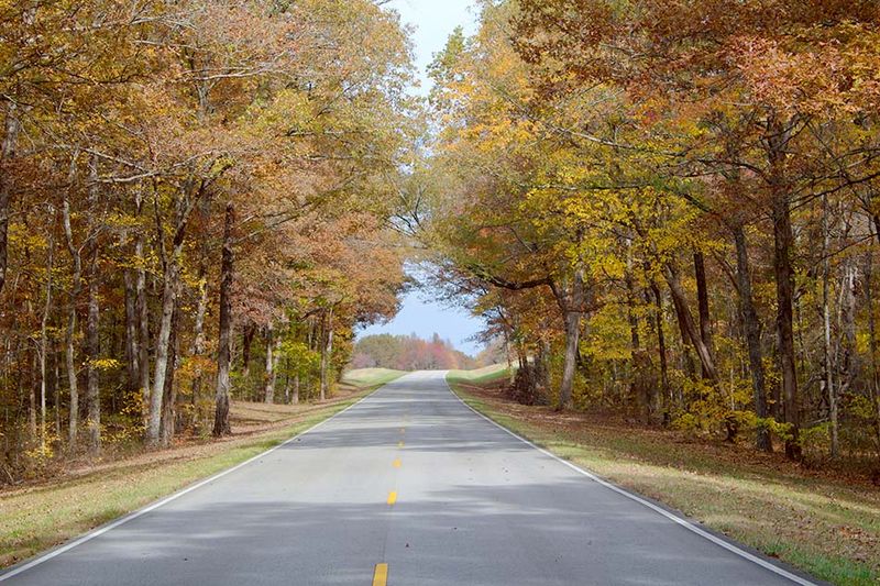 Natchez Trace Parkway: Beautiful But Monotonous