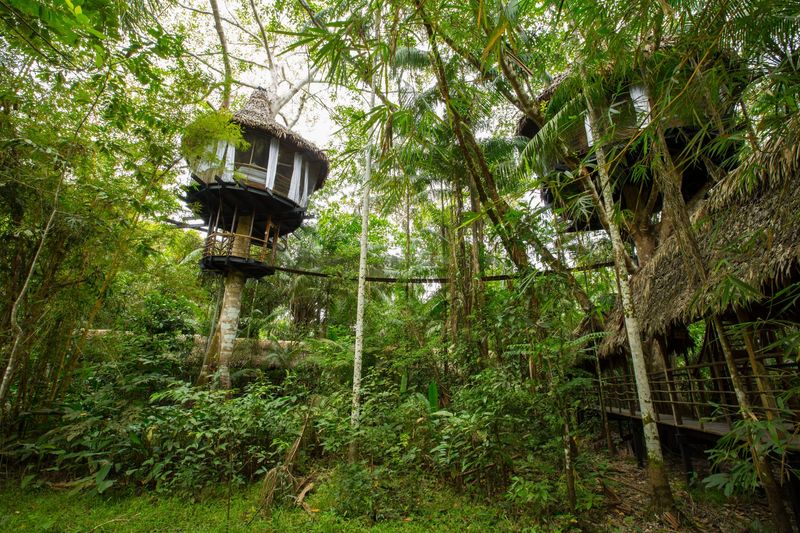 Amazon Rainforest Lodge, Brazil