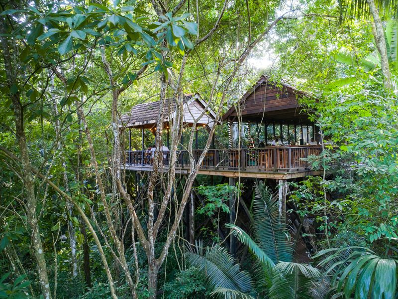 Canopy Treehouse