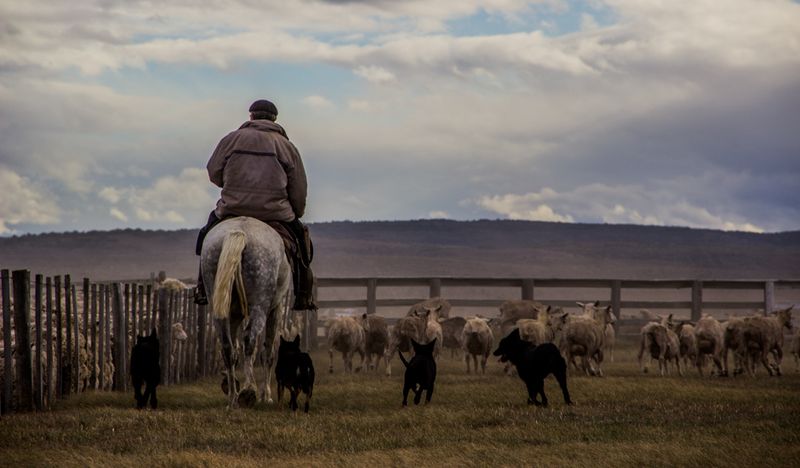 Experiencing Patagonian Ranch Life