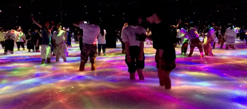 TeamLab Planets or Borderless (Tokyo)