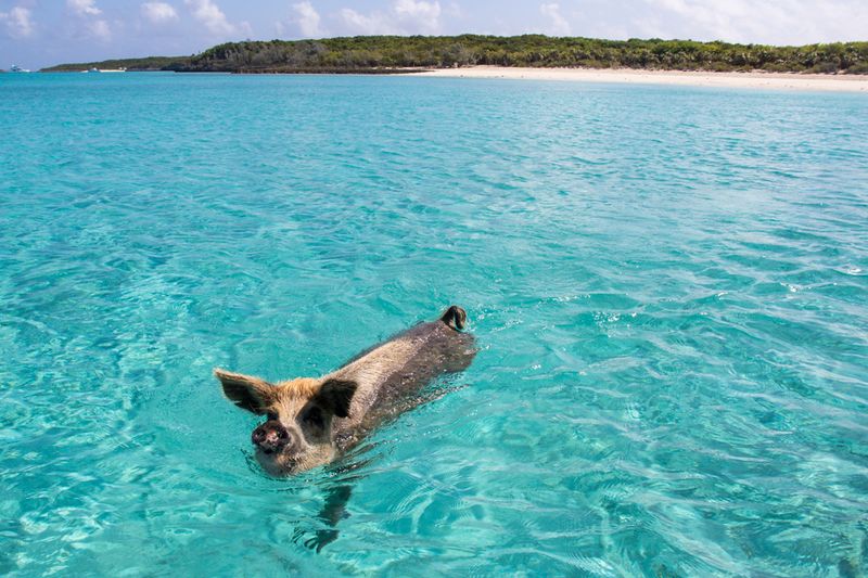 Exuma, Bahamas