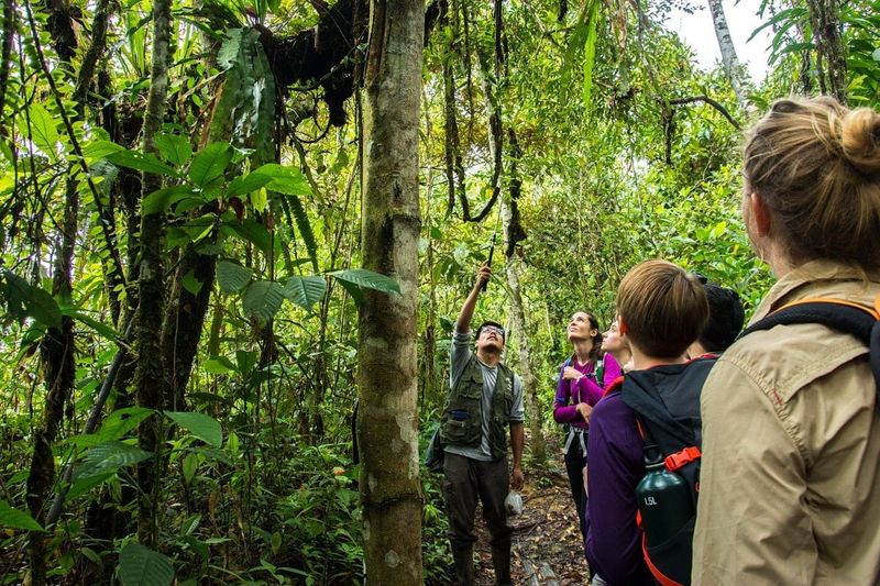Jungle Stewards In The Amazon
