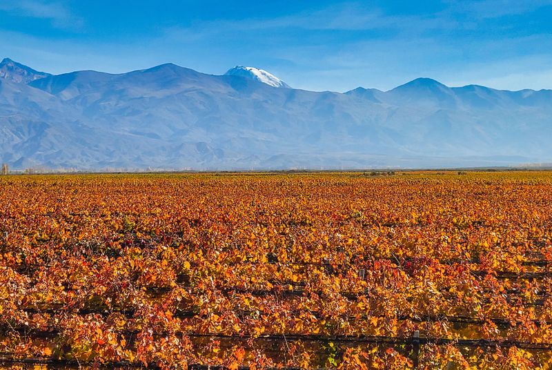 Mendoza's Uco Valley