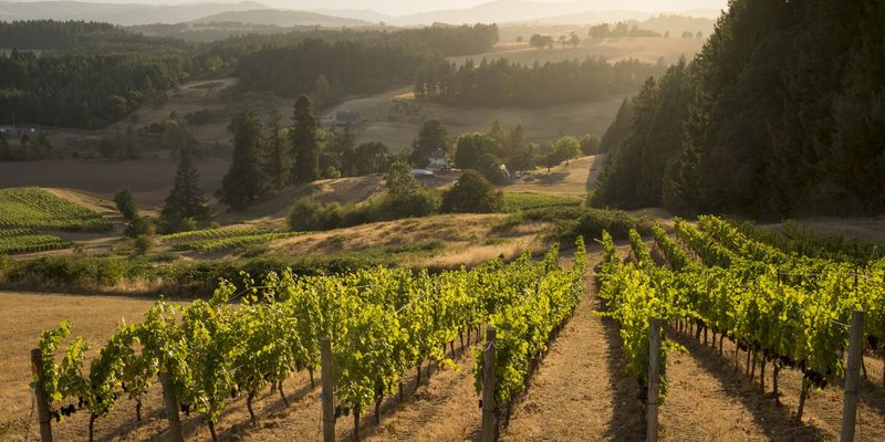 Willamette Valley, Oregon