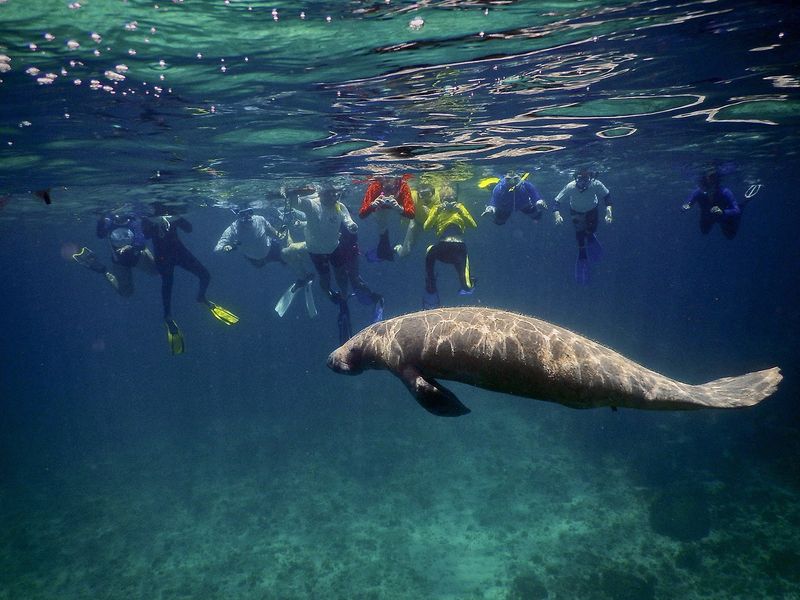 Blue Water Guardians In Belize