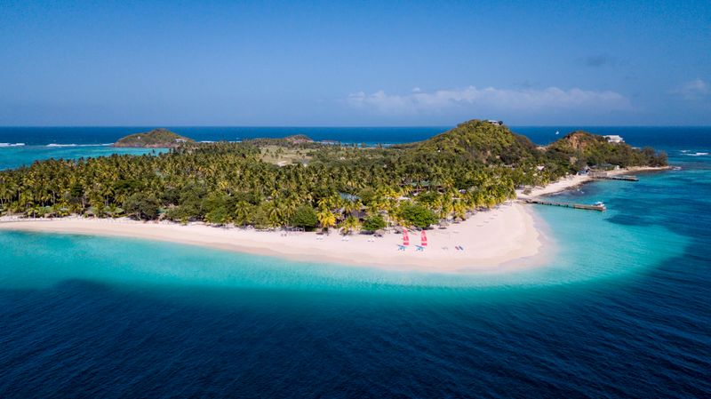 Palm Island